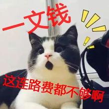 开局一文钱,一文钱引发的财富传奇